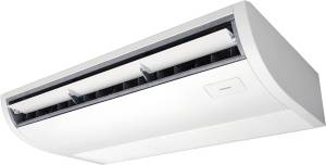 napol-11