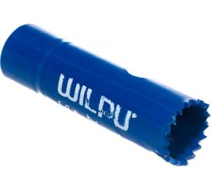 31016 00101