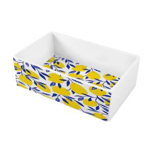 f_28012024_103334_76-Lemon