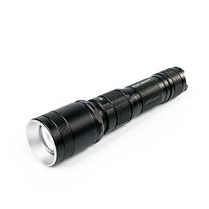 f_28012024_102034_fl-7458