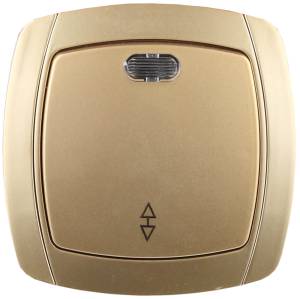 SV-54238-GM