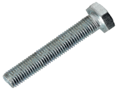 A00001002531605