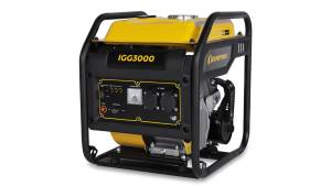 IGG3000_1_