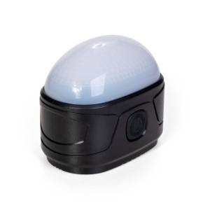 f_28012024_102037_fl-6891