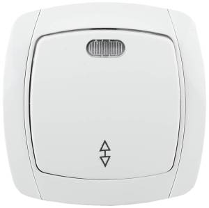 SV-54238-W