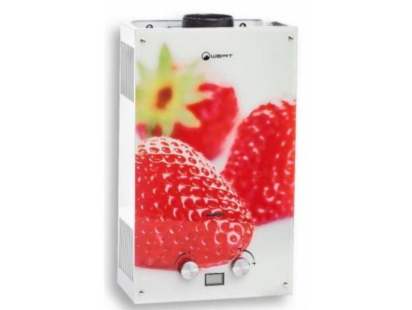 vodonagrevatel_protochniy_gazoviy_wert_10eg_berry_art_w1407_169169372