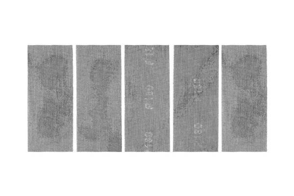 f_22022024_045935_002