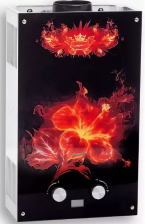 Водонагреватель газовый проточный Wert 10EG Flower 50525. Артикул 50525