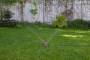 Разбрызгиватель 8 режимов SP 005 ELITECH Garden 206072. Артикул 206072