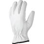 Утепленные рабочие перчатки из кожи JETA SAFETY JLE821-M. Артикул JLE821-M