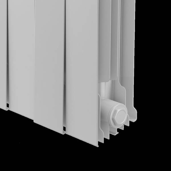 f_28012024_081932__white_1