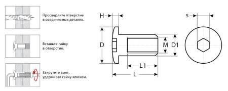 Гайка Эриксона с полукруглой головкой M6x12мм 5 кг (730 шт) оцинкованная шест. 4мм ЗУБР 303760-4. Артикул 303760-4
