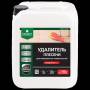 Удалитель плесени PROSEPT FUNGI CLEAN 5л. 019-5. Артикул 019-5