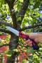 Пила складная WSF01 ELITECH Garden 206433. Артикул 206433