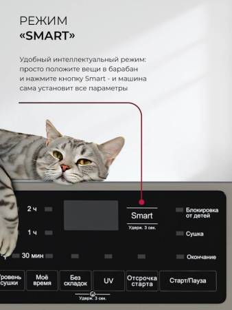Сушильная машина LEX LDM10GrD CHKO100018. Артикул CHKO100018
