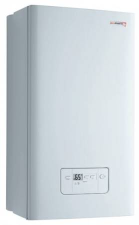 Котел газовый настенный Protherm Гепард 23 MTV 0010015238 4807. Артикул 4807
