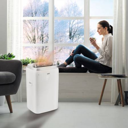 Кондиционер мобильный Ballu Platinum Comfort BPHS-11H. Артикул НС-1185829