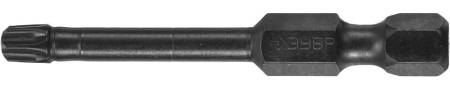 Ударные биты ЗУБР T25 50 мм 2 шт 26025-25-50-S2. Артикул 26025-25-50-S2