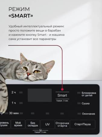 Сушильная машина LEX LDM10WD CHKO100017. Артикул CHKO100017